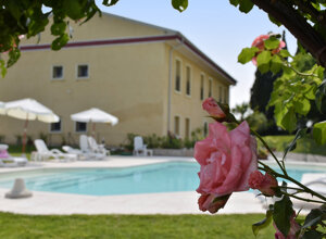 29274_3d16a2ad0771920a6814822d1222bb59d5ef920e