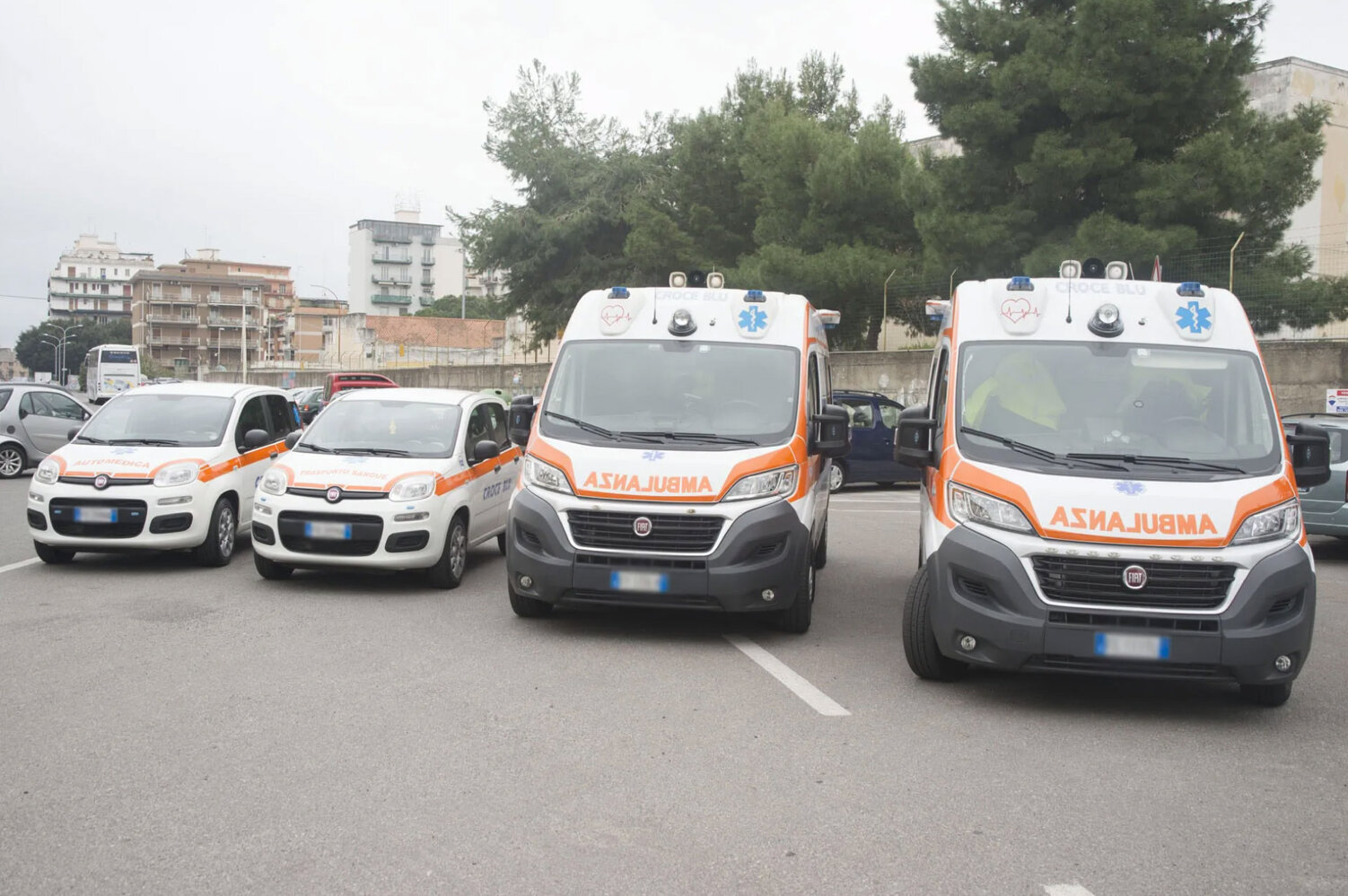 484913559_661961529677406_9170692371233087663_n.jpeg 484913559_661961529677406_9170692371233087663_n.jpeg