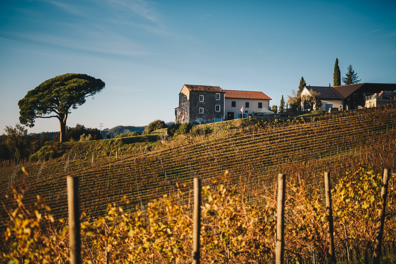 immagine_2025-11-24_151234666