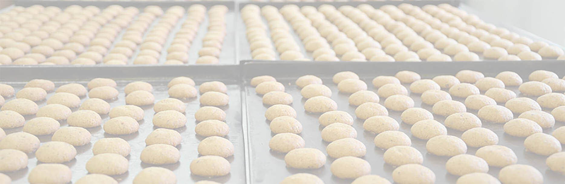 bacetti.jpeg bacetti.jpeg