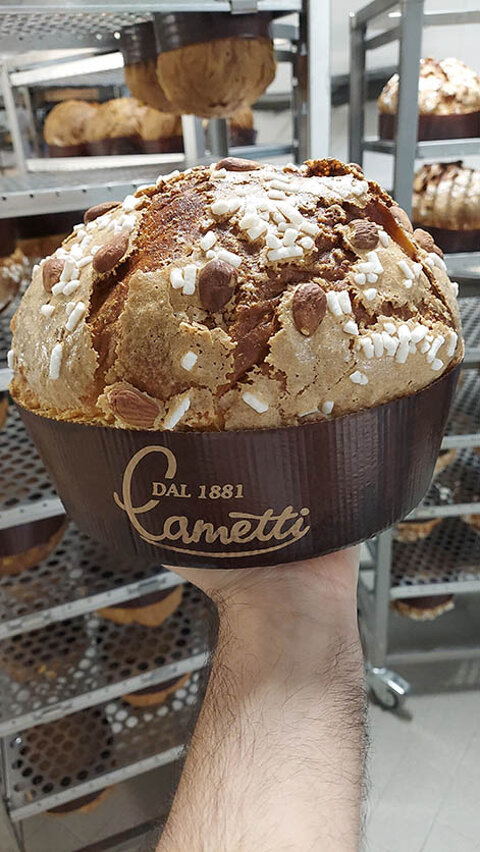 panettone in mano.jpeg panettone in mano.jpeg