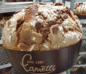 panettone mini.jpeg