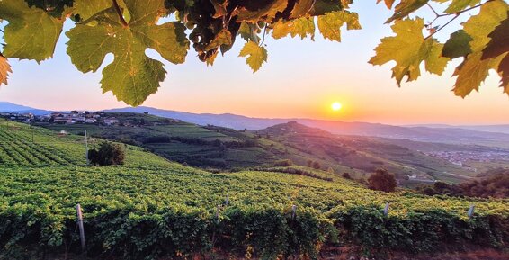 525018162_122104217750956321_6526735157527786204_n.jpeg 525018162_122104217750956321_6526735157527786204_n.jpeg