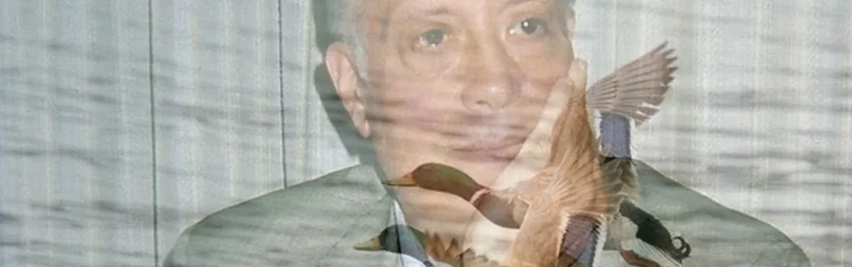raffaele raffaele