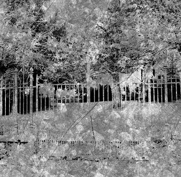 Tempus Fugit (Visioni)