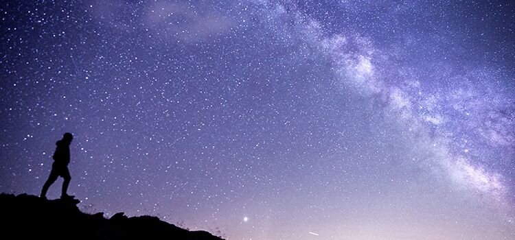 il-senso-della-vita-1.jpeg il-senso-della-vita-1.jpeg