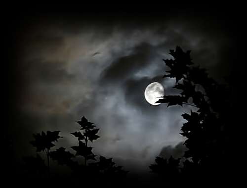 notte.jpeg notte.jpeg