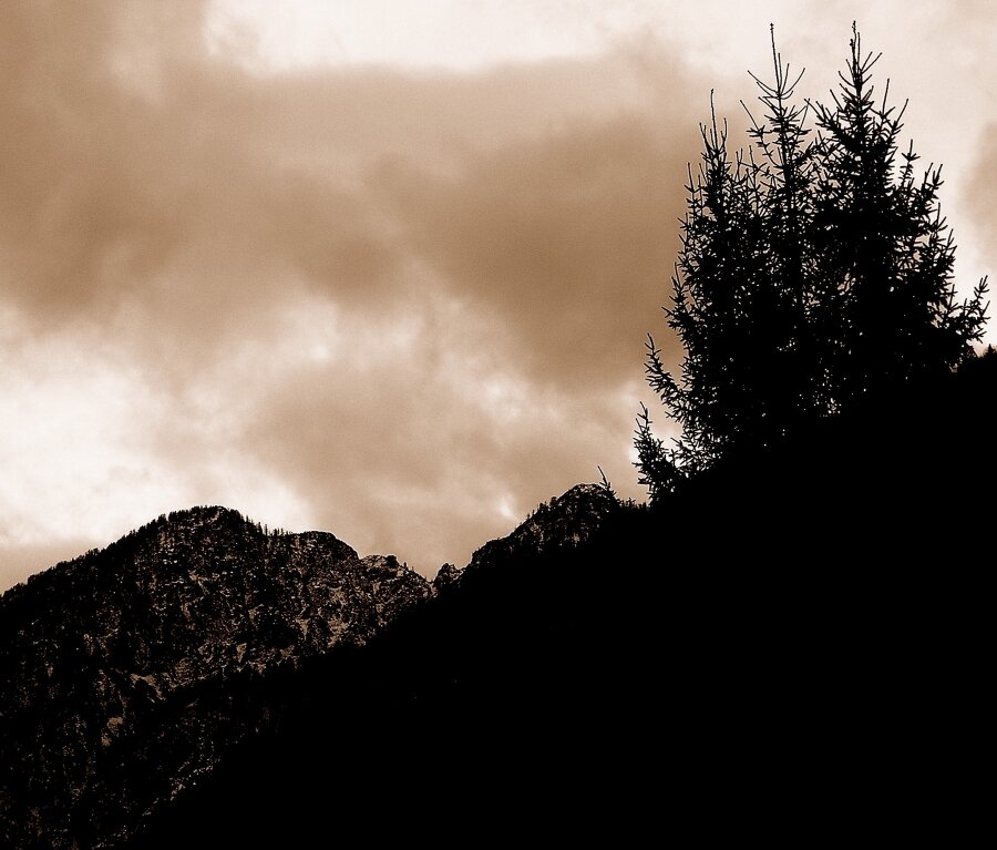 su-desolate-cime.jpeg su-desolate-cime.jpeg