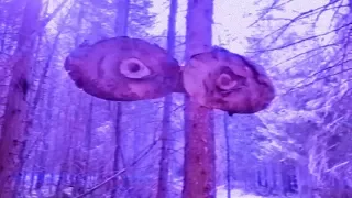 incubo.webp incubo.webp