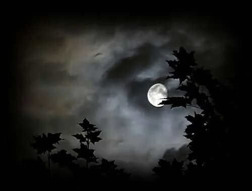 Il ricordo del tempo che era (Poesia)