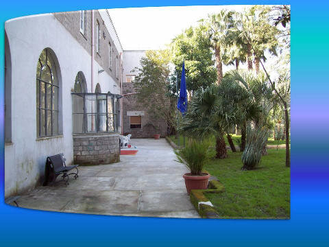 1987350.jpeg 1987350.jpeg