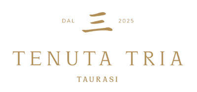 foto_tenuta_tria_taurasi-removebg-preview (1)