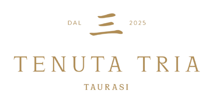 foto_tenuta_tria_taurasi-removebg-preview (1)