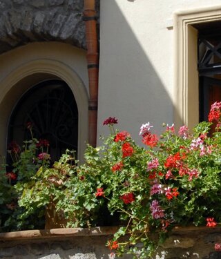 sl-2_1260_645%20(1).jpeg sl-2_1260_645%20(1).jpeg