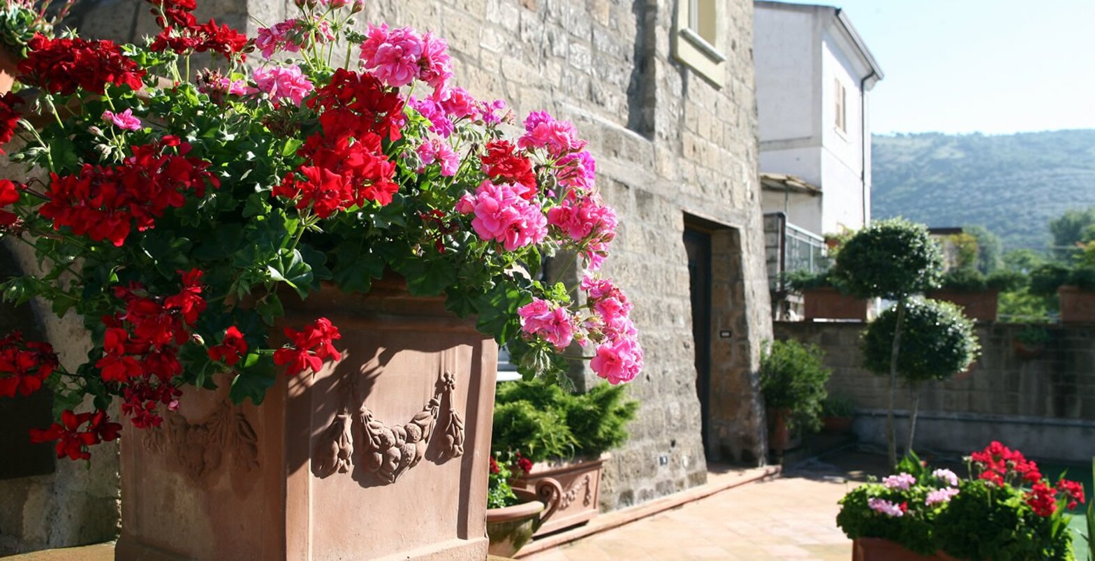 sl-1_1260_645.jpeg sl-1_1260_645.jpeg