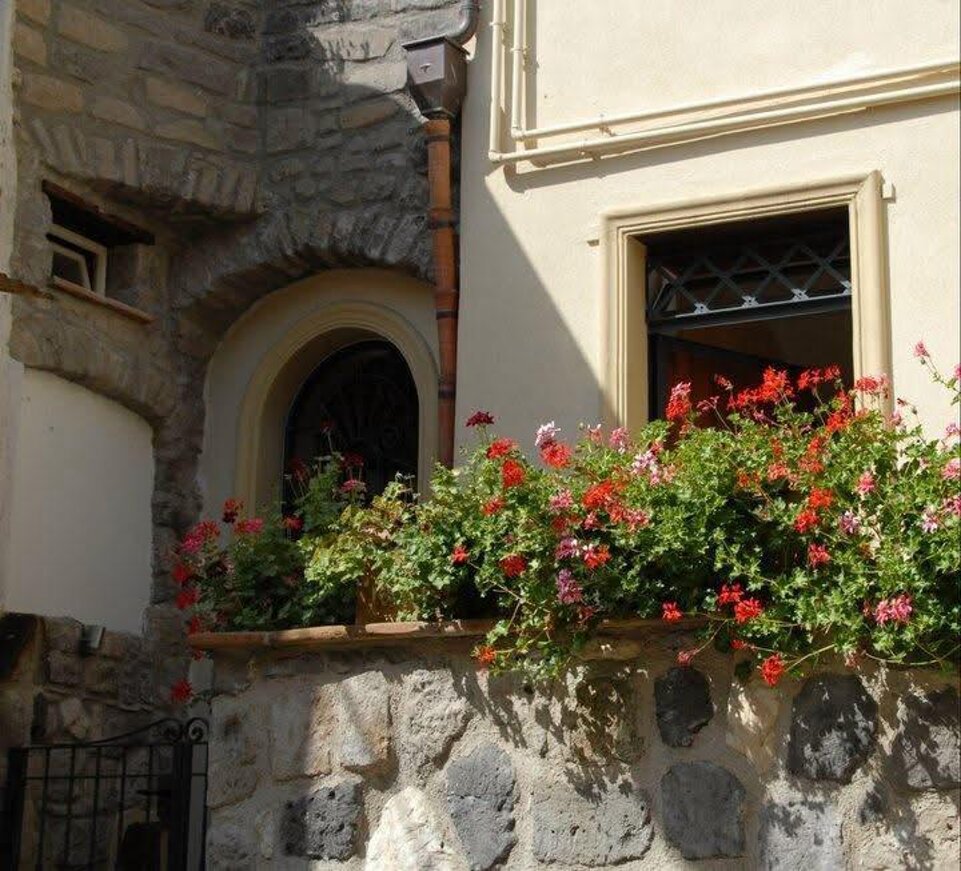 immagine whatsapp 2025-11-22 ore 13.41.51_a4ad973a.jpeg