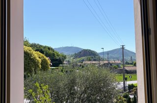 img_1725.jpeg