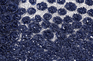 1005009928891032-3
