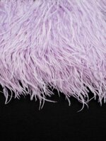 piume-di-struzzo-jhry0