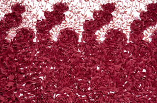 1005008233440213-1