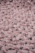 tulle-floreale-3d-7kccn