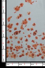 organza-doppia-stampata-petali-3ovmws