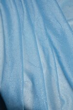 raschel-glitter-wihxh