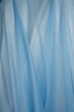 raschel-glitter-wihxh