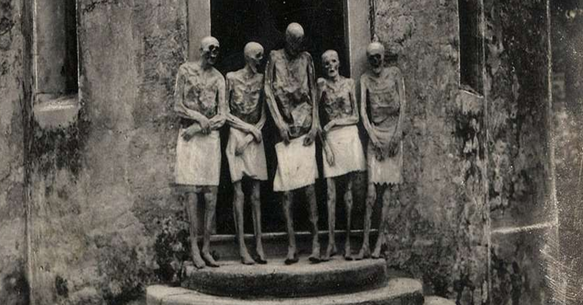 074---le-mummie-di-verzone.png 074---le-mummie-di-verzone.png