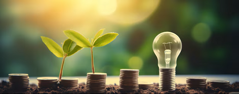 idea-di-energia-rinnovabile-e-risparmio-energetico-lampadina-a-risparmio-energetico