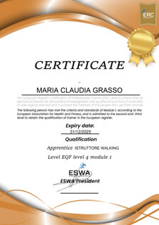 Certificato-erc-1