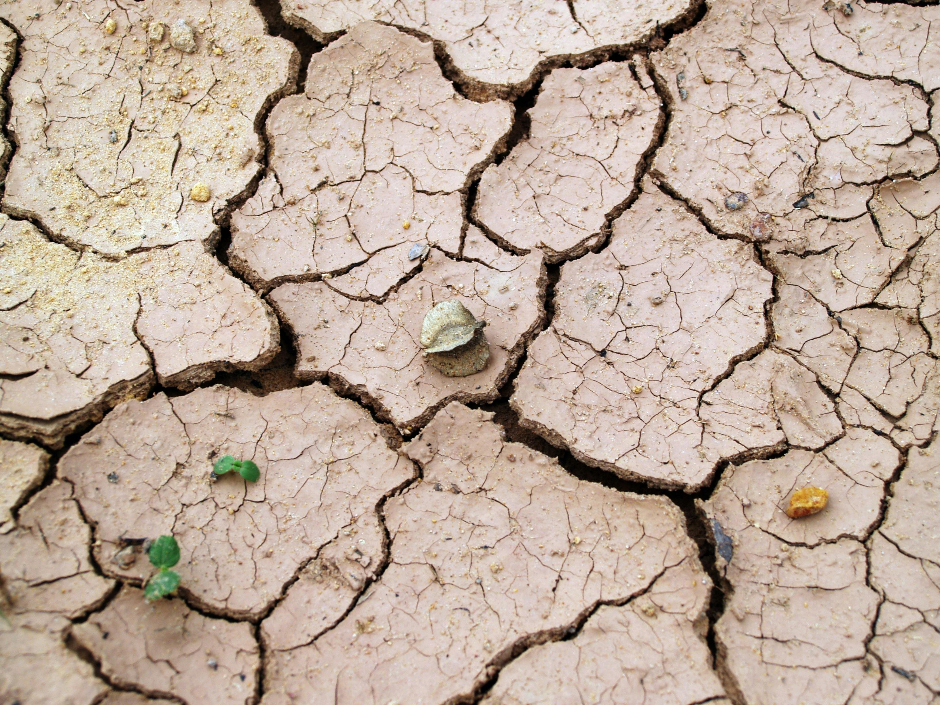 Aumento delle temperature globali Aumento delle temperature globali