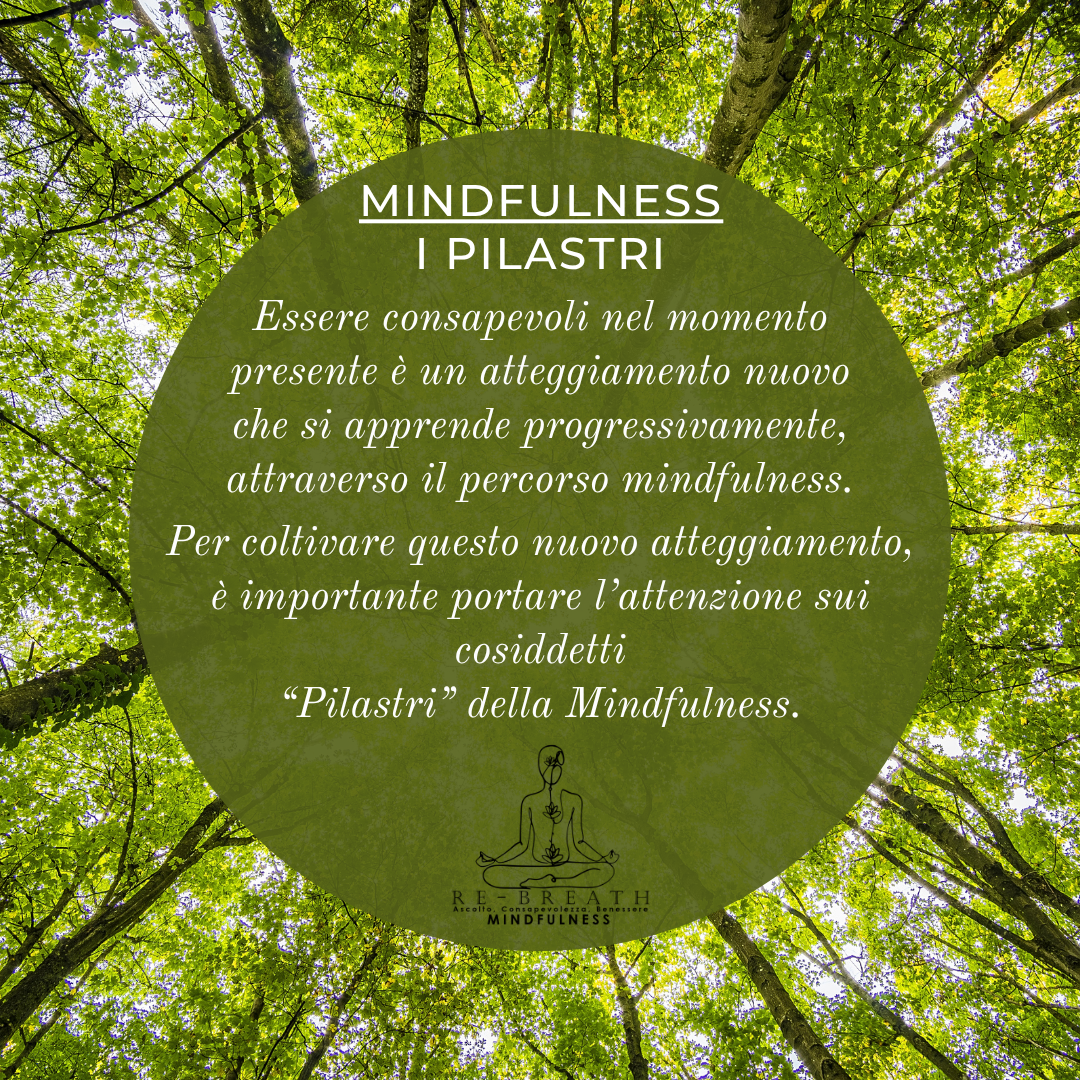 I Pilastri della Mindfulness