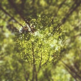 4b40fd1c-09e3-47d2-90bf-b5cef097c760 4b40fd1c-09e3-47d2-90bf-b5cef097c760