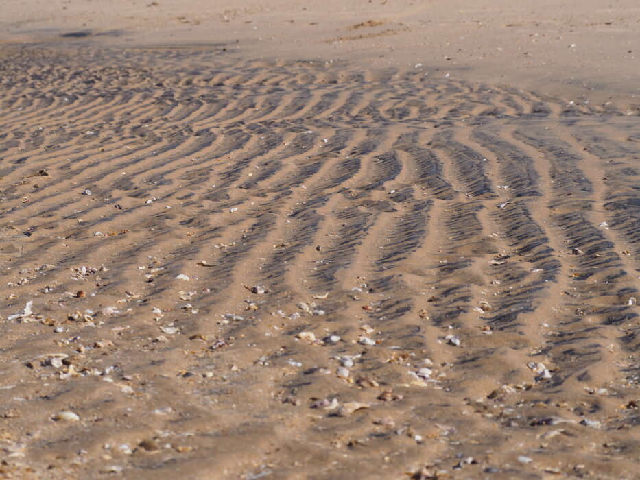 824ae347-8c45-4868-8823-f3cef01577c4