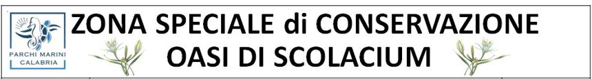 dd9b78dc85e2430786e4c0d00beae951b04d136b