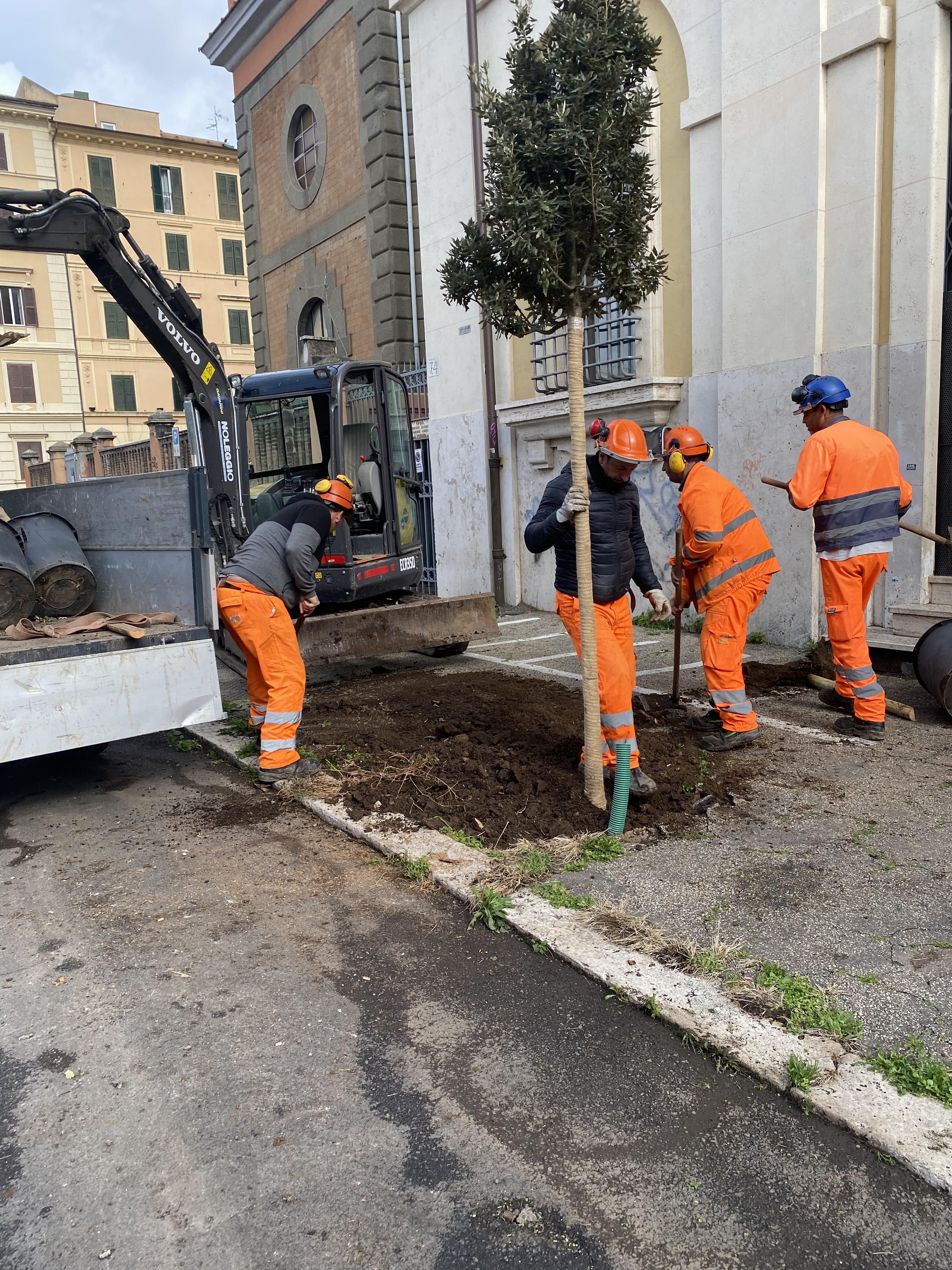 Nuovo verde green Nuovo verde green