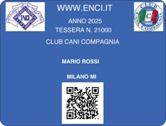 finta tessera finta tessera
