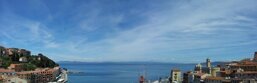 813e50f1-18ae-4228-82e5-4f2291a5449f