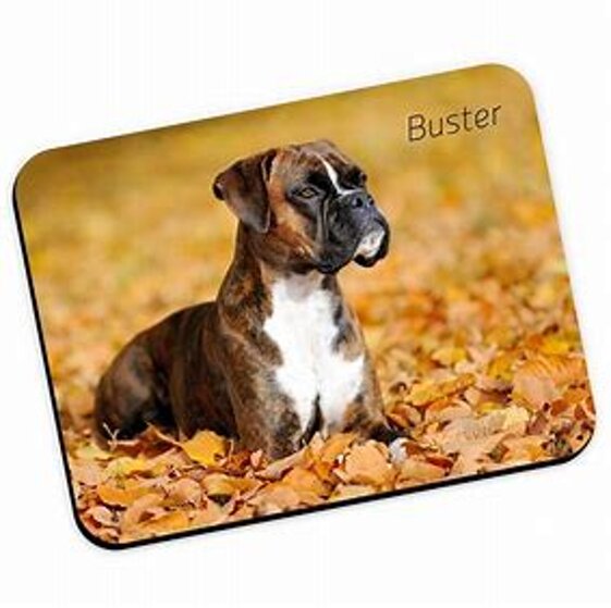 ab5fcba9-dbb8-4f3e-954f-95d34df8dd51