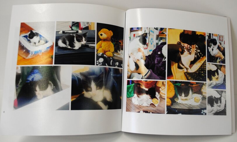 7695a543-52b5-47c4-8fce-1cc307098665