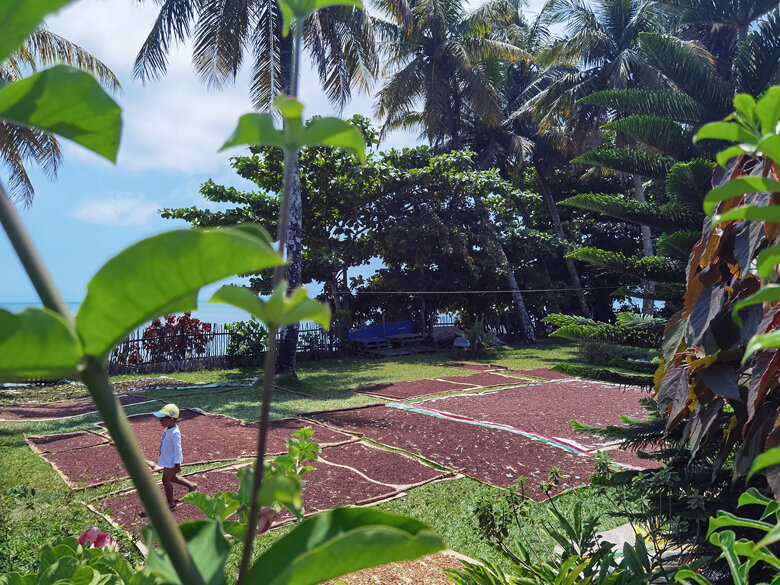 da604cd6-909c-48cc-a4e0-9df80b39629d