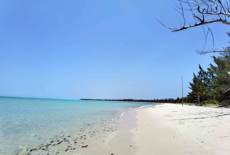 69268f49-e185-4e52-b355-b9756978ea1a