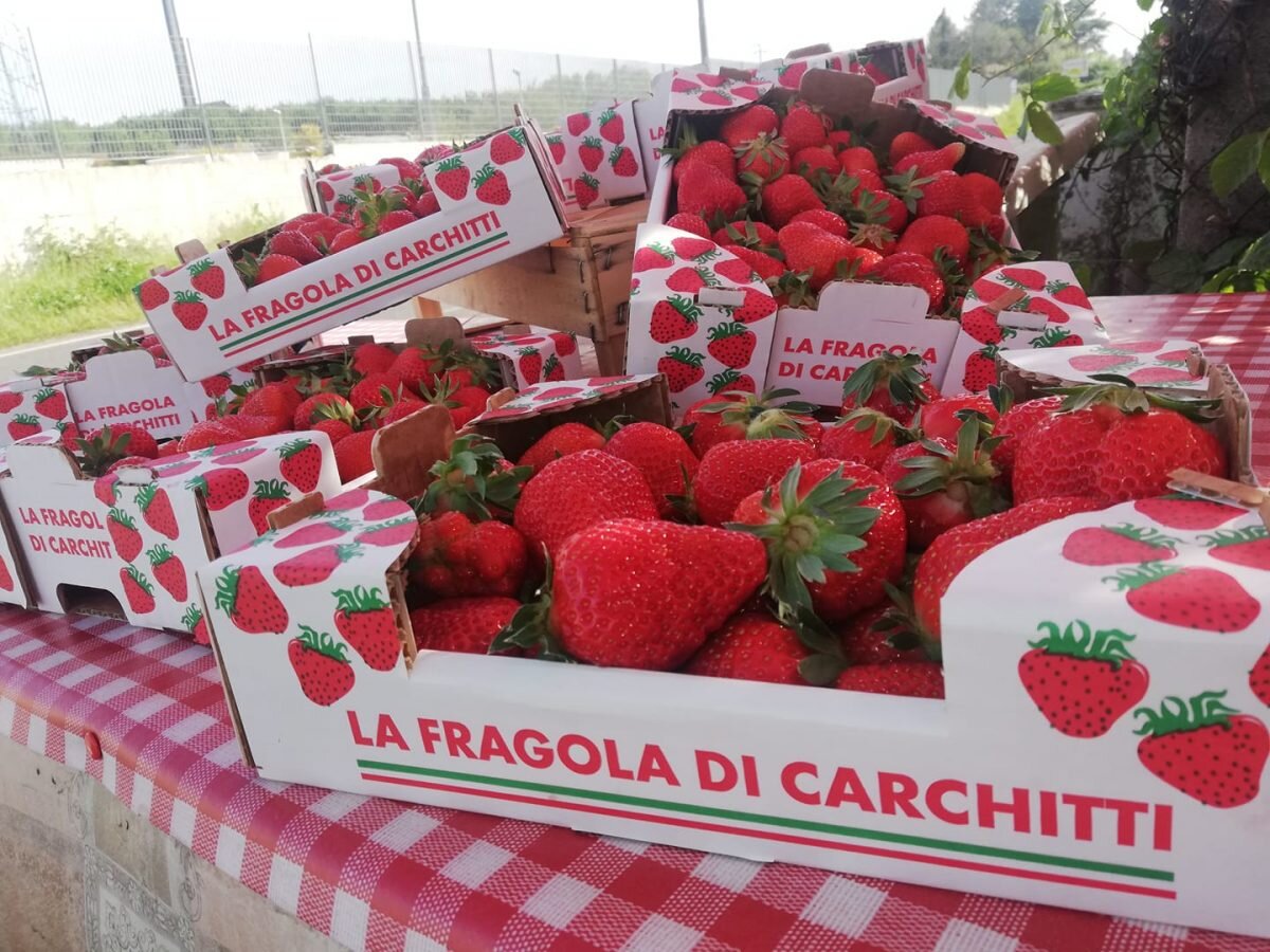 Sagre delle Fragole