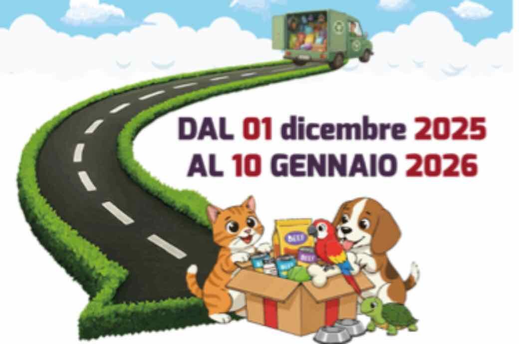 Pet Carpet un riciclo da oscar