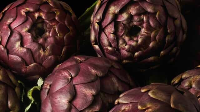 Sagra del Carciofo