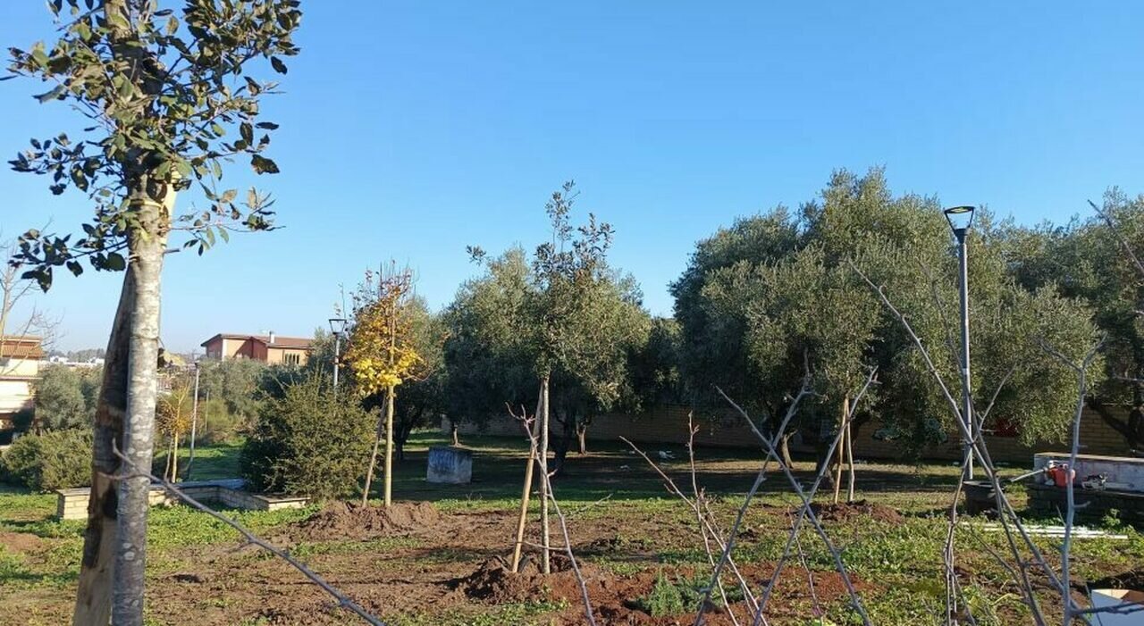 Forest for Rome: boschi didattici