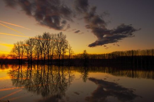 64494b75-e308-4393-9611-54c2d33256b1 64494b75-e308-4393-9611-54c2d33256b1