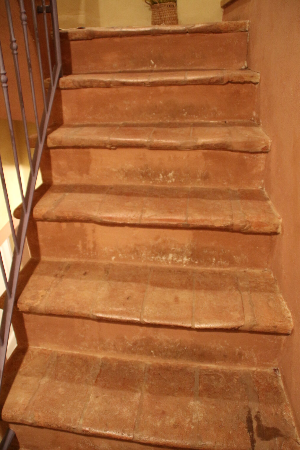 img_0790.jpeg img_0790.jpeg