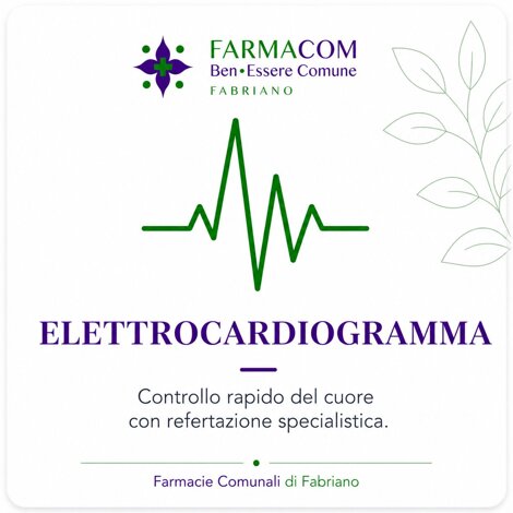 sito%20(2).jpeg